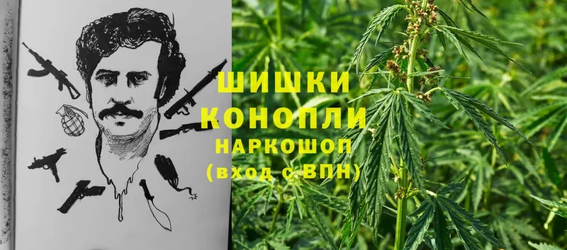 Бошки марихуана White Widow  где можно купить   Апатиты 